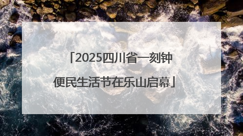 2025四川省一刻钟便民生活节在乐山启幕