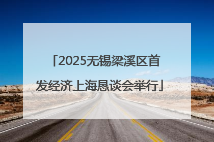 2025无锡梁溪区首发经济上海恳谈会举行