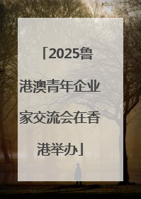 2025鲁港澳青年企业家交流会在香港举办