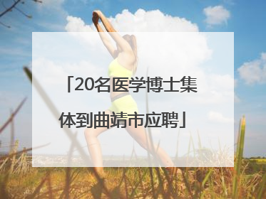 20名医学博士集体到曲靖市应聘