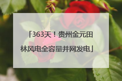 363天！贵州金元田林风电全容量并网发电