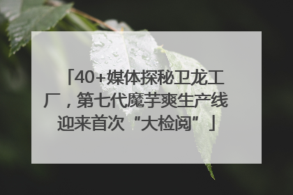 40+媒体探秘卫龙工厂，第七代魔芋爽生产线迎来首次“大检阅”