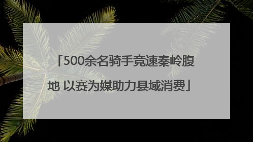 500余名骑手竞速秦岭腹地 以赛为媒助力县域消费