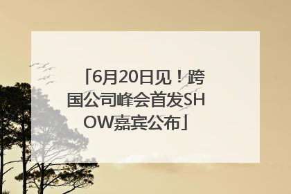 6月20日见！跨国公司峰会首发SHOW嘉宾公布