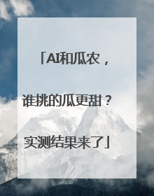AI和瓜农，谁挑的瓜更甜？实测结果来了