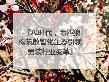 AI时代，七匹狼构筑数智化生态引领男装行业变革