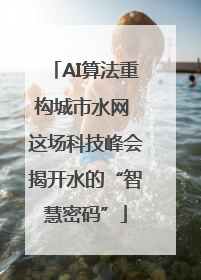 AI算法重构城市水网 这场科技峰会揭开水的“智慧密码”