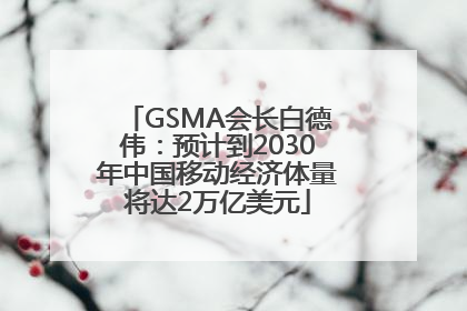 GSMA会长白德伟：预计到2030年中国移动经济体量将达2万亿美元