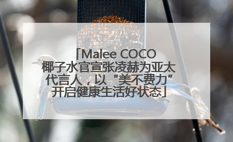 Malee COCO椰子水官宣张凌赫为亚太代言人，以“美不费力”开启健康生活好状态